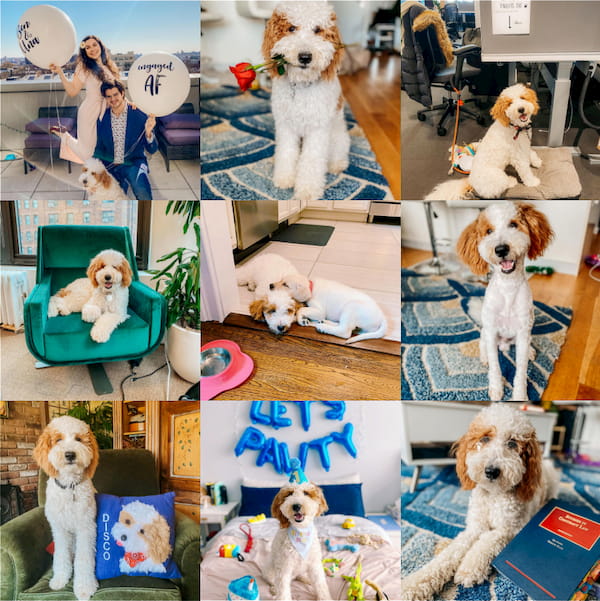 Dev Doodles -- best 9