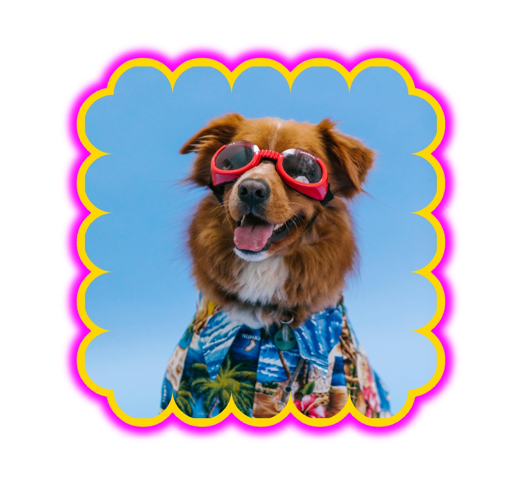 dog photo with scalloped borders