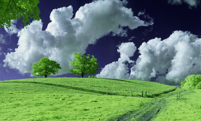 infrared image example