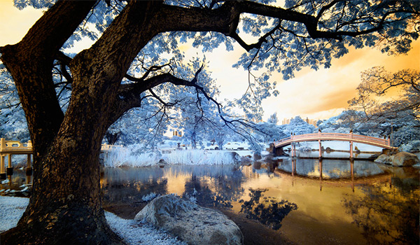 infrared image example